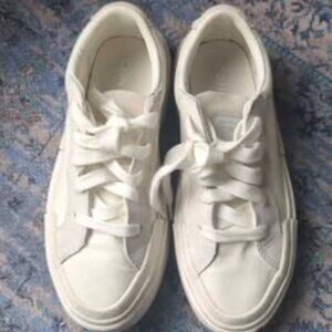 Converse Cruise